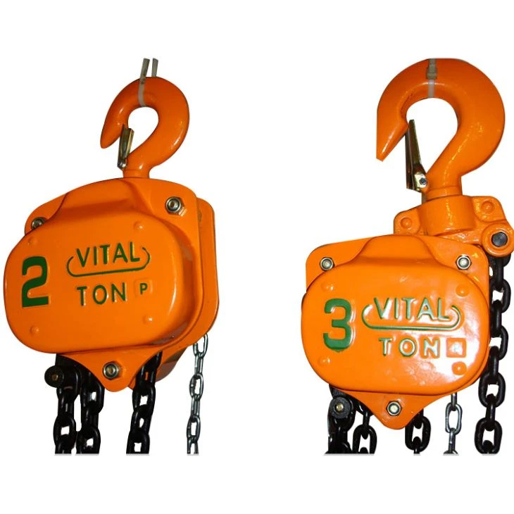 HSZ Vital Chain Hoist
