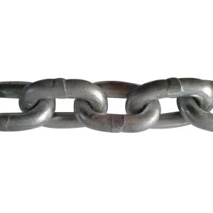 G100 Load Chain