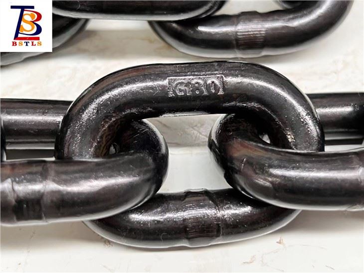 ISO3077 High Precision Hoist Chain