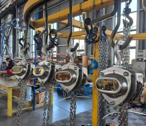 SUS CHAIN BLOCK SUS CHAIN BLOCK